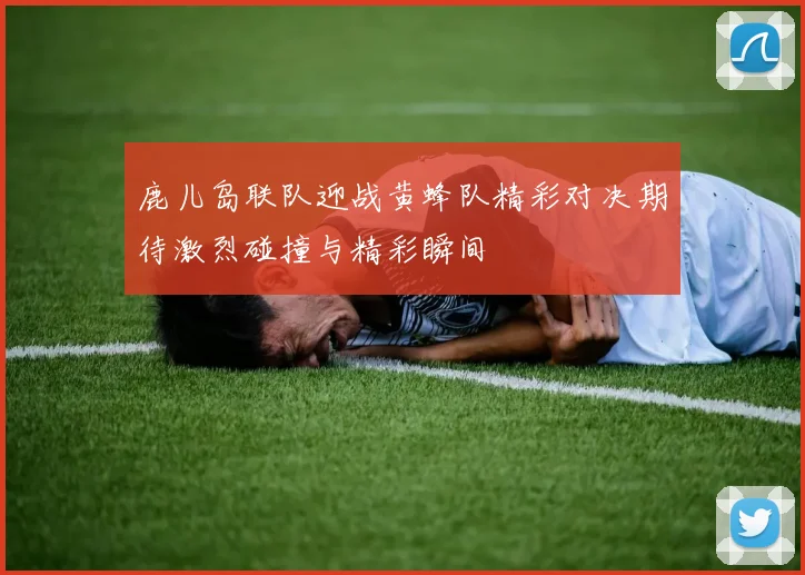 鹿儿岛联队迎战黄蜂队精彩对决期待激烈碰撞与精彩瞬间