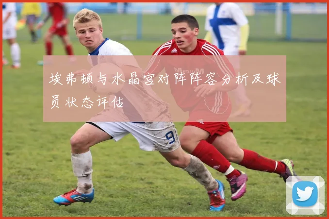 埃弗顿与水晶宫对阵阵容分析及球员状态评估