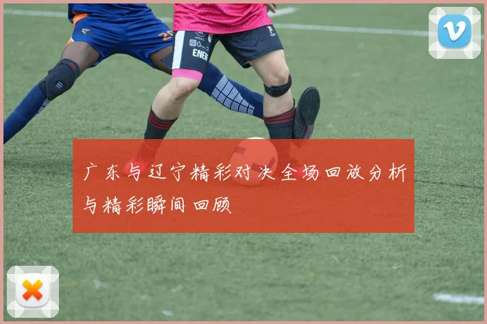 广东与辽宁精彩对决全场回放分析与精彩瞬间回顾