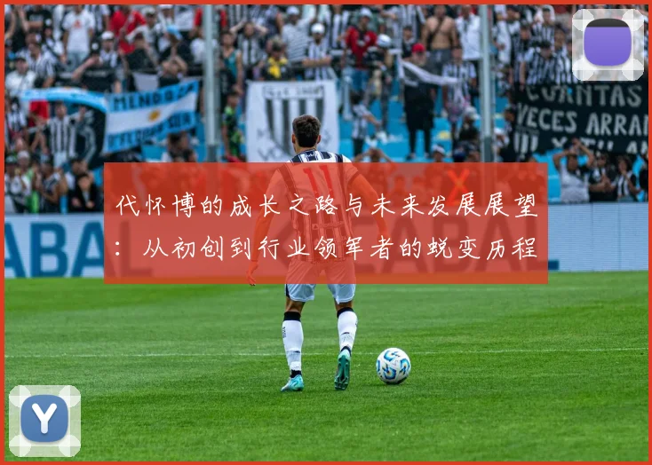 代怀博的成长之路与未来发展展望：从初创到行业领军者的蜕变历程