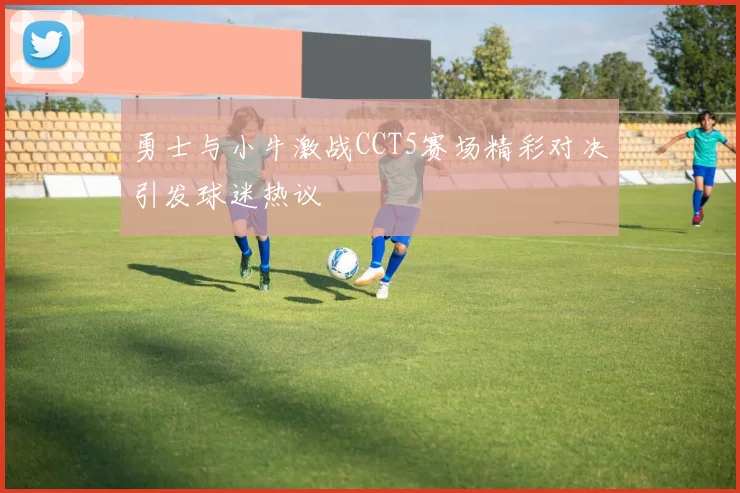 勇士与小牛激战CCT5赛场精彩对决引发球迷热议